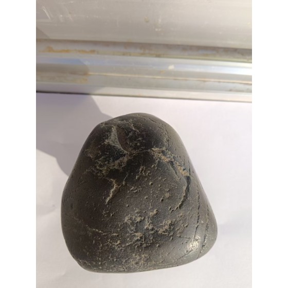 Olivine Meteorite