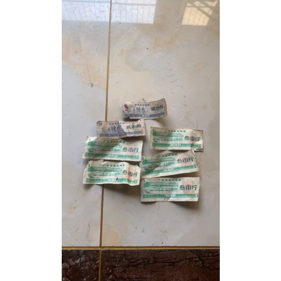 Guangdong Provincial Local Grain Coupons