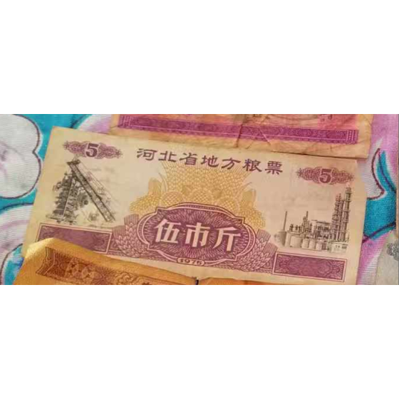Hebei Local Food Coupon, Five Jin