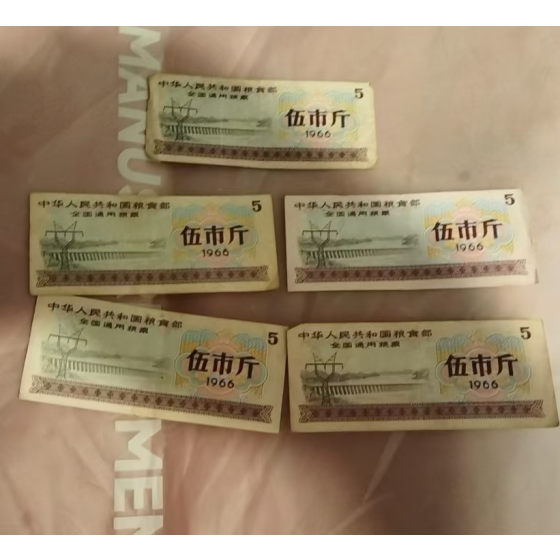 National General 5 Jin Food Stamp