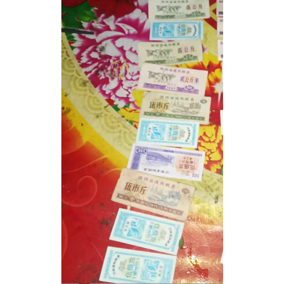 Shaanxi Provincial Local Grain Coupon