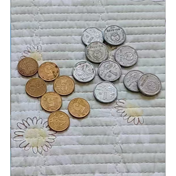 Fifty Cents Coin